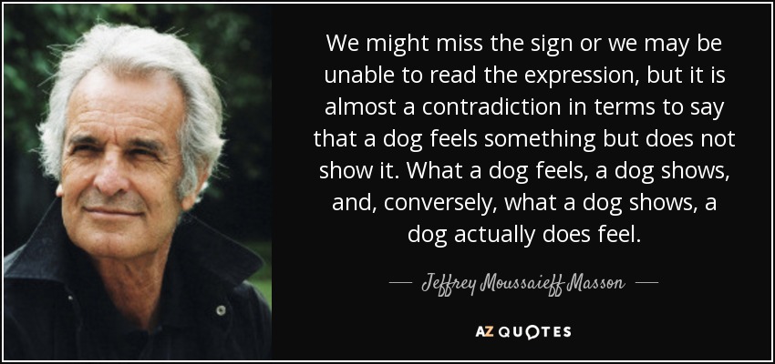 We might miss the sign or we may be unable to read the expression, but it is almost a contradiction in terms to say that a dog feels something but does not show it. What a dog feels, a dog shows, and, conversely, what a dog shows, a dog actually does feel. - Jeffrey Moussaieff Masson