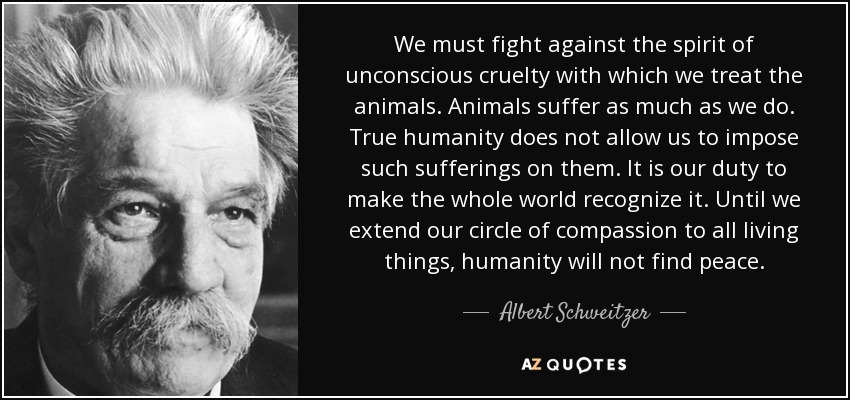 We must fight against the spirit of unconscious cruelty with which we treat the animals. Animals suffer as much as we do. True humanity does not allow us to impose such sufferings on them. It is our duty to make the whole world recognize it. Until we extend our circle of compassion to all living things, humanity will not find peace. - Albert Schweitzer