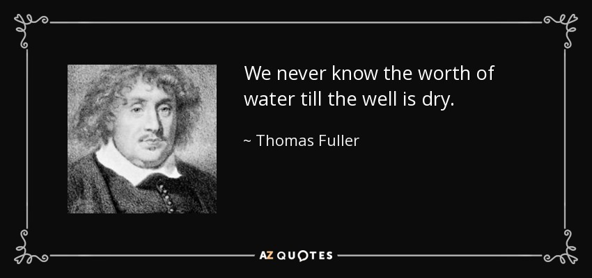 We never know the worth of water till the well is dry. - Thomas Fuller
