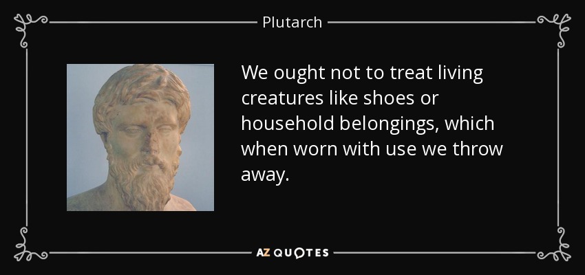 We ought not to treat living creatures like shoes or household belongings, which when worn with use we throw away. - Plutarch