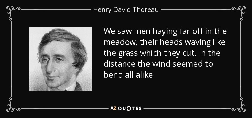 We saw men haying far off in the meadow, their heads waving like the grass which they cut. In the distance the wind seemed to bend all alike. - Henry David Thoreau