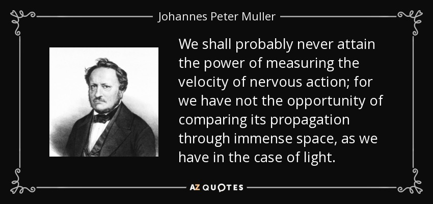 We shall probably never attain the power of measuring the velocity of nervous action; for we have not the opportunity of comparing its propagation through immense space, as we have in the case of light. - Johannes Peter Muller