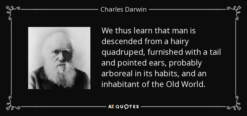 We thus learn that man is descended from a hairy quadruped, furnished with a tail and pointed ears, probably arboreal in its habits, and an inhabitant of the Old World. - Charles Darwin