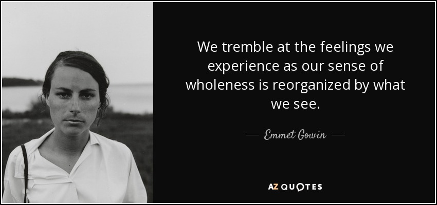 We tremble at the feelings we experience as our sense of wholeness is reorganized by what we see. - Emmet Gowin