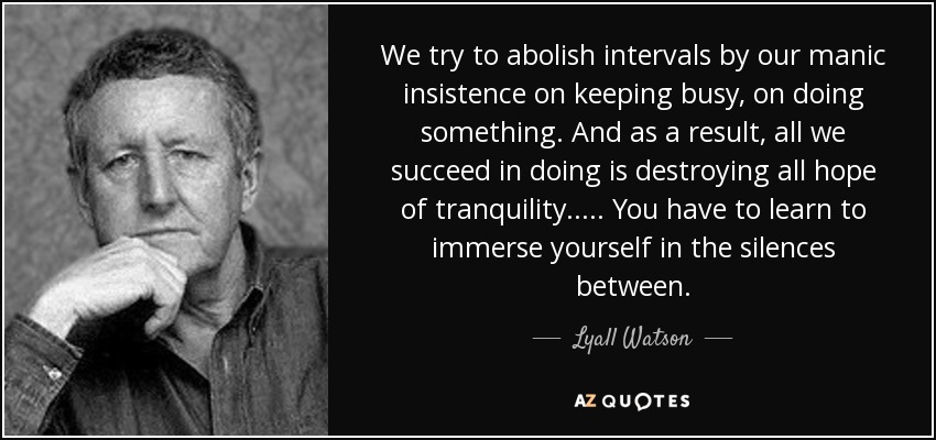 We try to abolish intervals by our manic insistence on keeping busy, on doing something. And as a result, all we succeed in doing is destroying all hope of tranquility. ... . You have to learn to immerse yourself in the silences between. - Lyall Watson