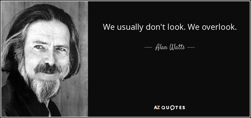 We usually don't look. We overlook. - Alan Watts