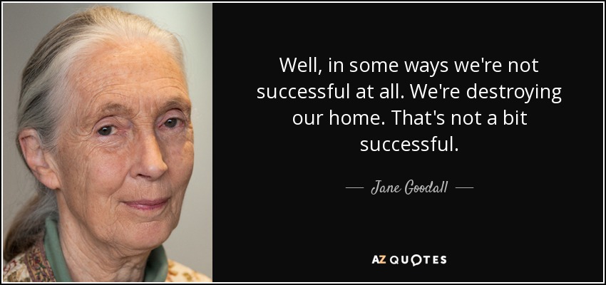 Well, in some ways we're not successful at all. We're destroying our home. That's not a bit successful. - Jane Goodall