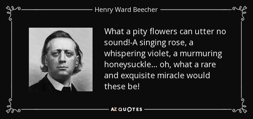 What a pity flowers can utter no sound!-A singing rose, a whispering violet, a murmuring honeysuckle ... oh, what a rare and exquisite miracle would these be! - Henry Ward Beecher