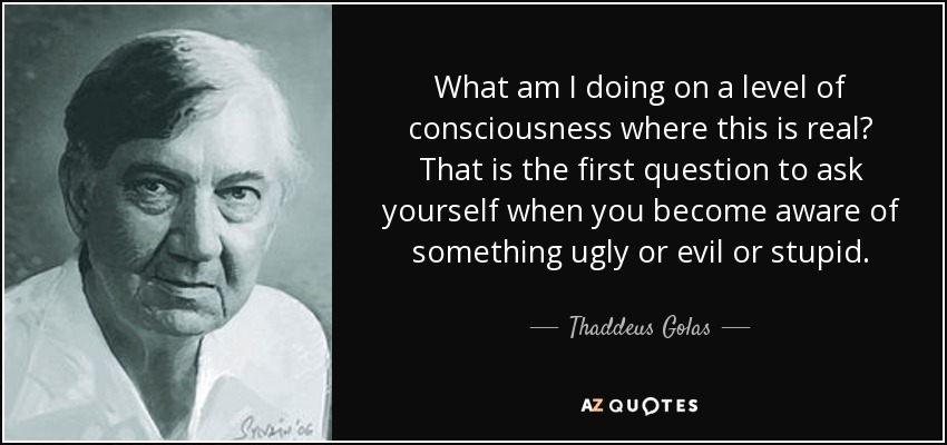 What am I doing on a level of consciousness where this is real? That is the first question to ask yourself when you become aware of something ugly or evil or stupid. - Thaddeus Golas