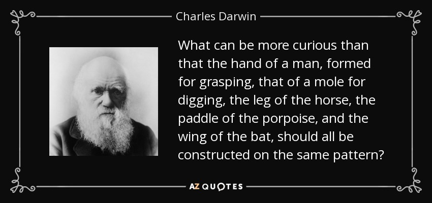 What can be more curious than that the hand of a man, formed for grasping, that of a mole for digging, the leg of the horse, the paddle of the porpoise, and the wing of the bat, should all be constructed on the same pattern? - Charles Darwin