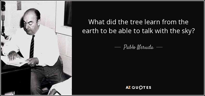 What did the tree learn from the earth to be able to talk with the sky? - Pablo Neruda