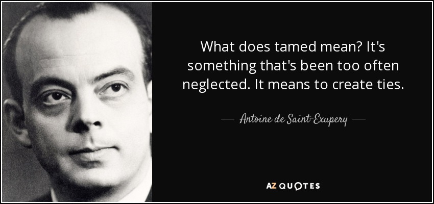 What does tamed mean? It's something that's been too often neglected. It means to create ties. - Antoine de Saint-Exupery