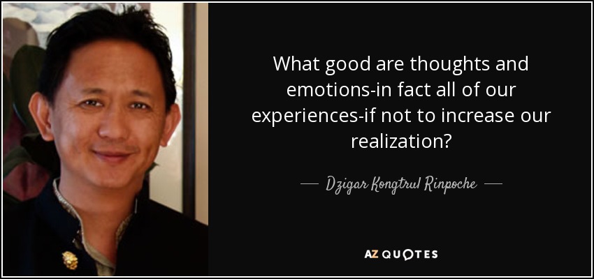 What good are thoughts and emotions-in fact all of our experiences-if not to increase our realization? - Dzigar Kongtrul Rinpoche