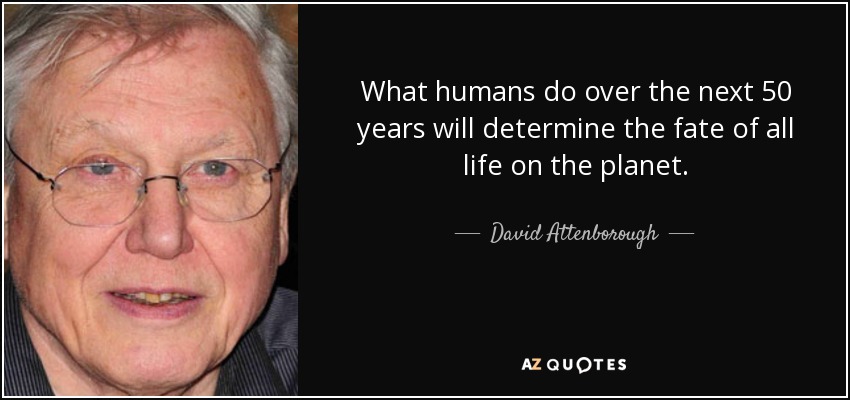 What humans do over the next 50 years will determine the fate of all life on the planet. - David Attenborough