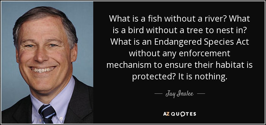 What is a fish without a river? What is a bird without a tree to nest in? What is an Endangered Species Act without any enforcement mechanism to ensure their habitat is protected? It is nothing. - Jay Inslee
