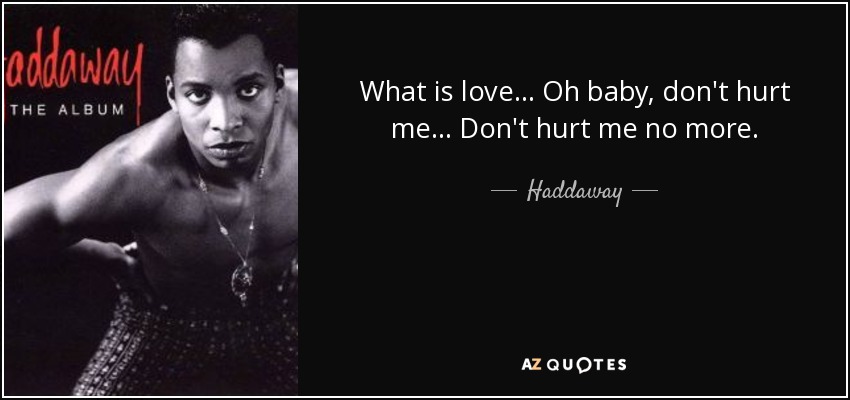 What is love ... Oh baby, don't hurt me ... Don't hurt me no more. - Haddaway