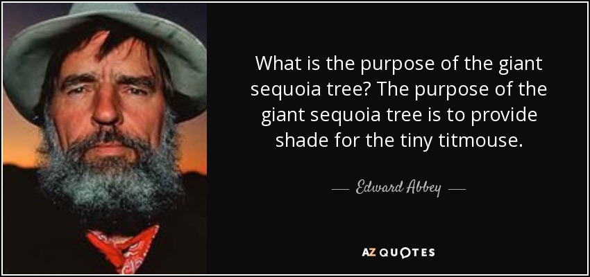 What is the purpose of the giant sequoia tree? The purpose of the giant sequoia tree is to provide shade for the tiny titmouse. - Edward Abbey