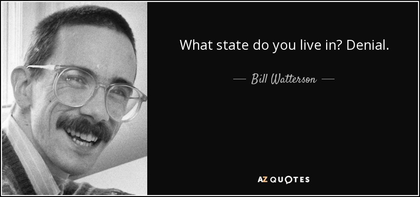 What state do you live in? Denial. - Bill Watterson