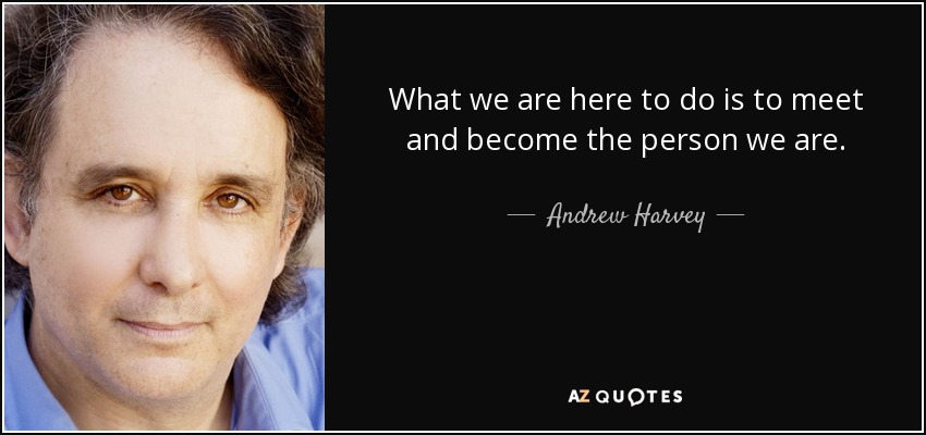 What we are here to do is to meet and become the person we are. - Andrew Harvey