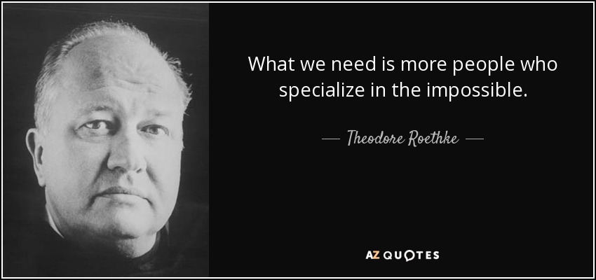 What we need is more people who specialize in the impossible. - Theodore Roethke