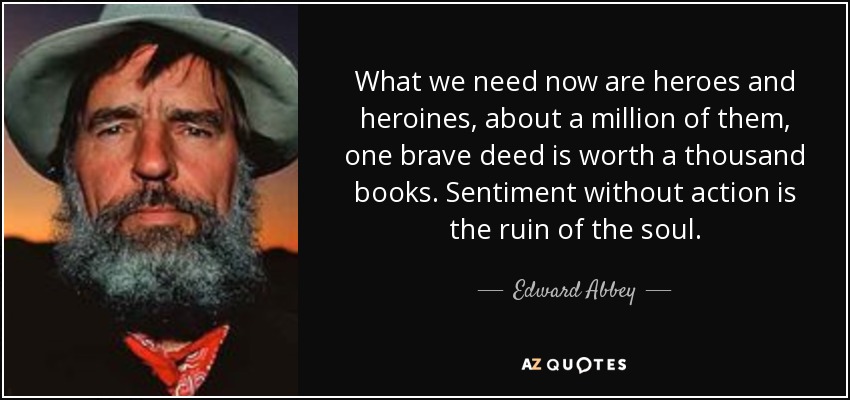 What we need now are heroes and heroines, about a million of them, one brave deed is worth a thousand books. Sentiment without action is the ruin of the soul. - Edward Abbey