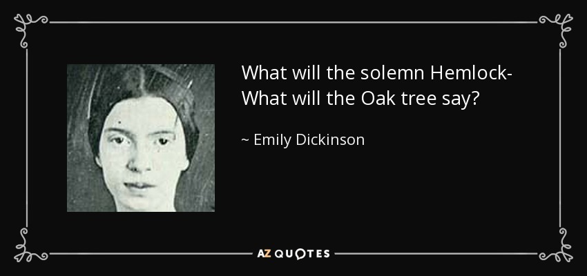 What will the solemn Hemlock- What will the Oak tree say? - Emily Dickinson