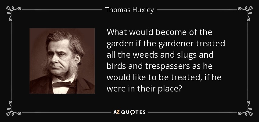 What would become of the garden if the gardener treated all the weeds and slugs and birds and trespassers as he would like to be treated, if he were in their place? - Thomas Huxley