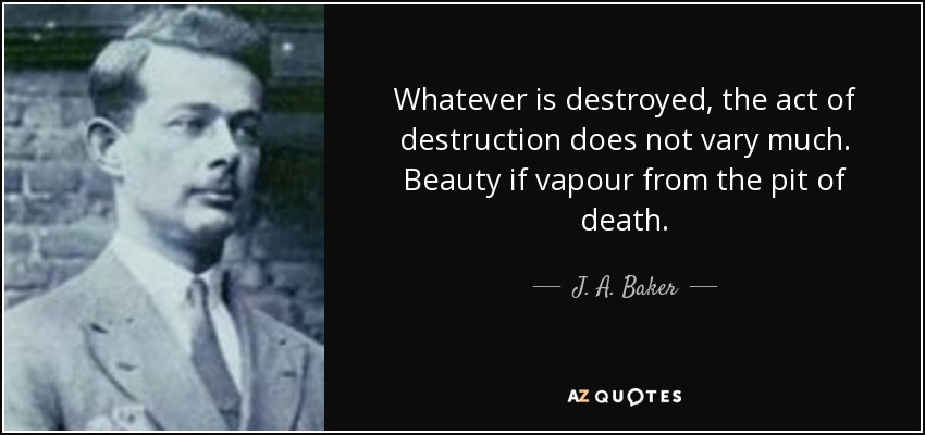 Whatever is destroyed, the act of destruction does not vary much. Beauty if vapour from the pit of death. - J. A. Baker