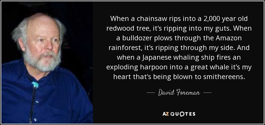 When a chainsaw rips into a 2,000 year old redwood tree, it's ripping into my guts. When a bulldozer plows through the Amazon rainforest, it's ripping through my side. And when a Japanese whaling ship fires an exploding harpoon into a great whale it's my heart that's being blown to smithereens. - David Foreman