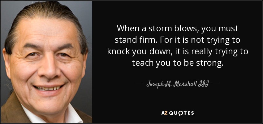 When a storm blows, you must stand firm. For it is not trying to knock you down, it is really trying to teach you to be strong. - Joseph M. Marshall III