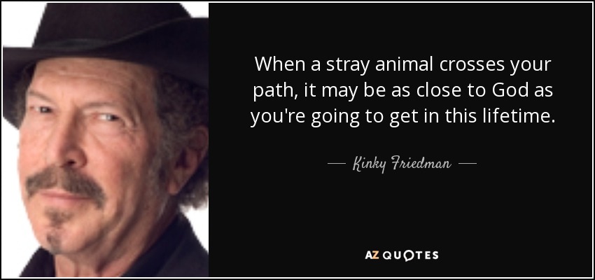 When a stray animal crosses your path, it may be as close to God as you're going to get in this lifetime. - Kinky Friedman