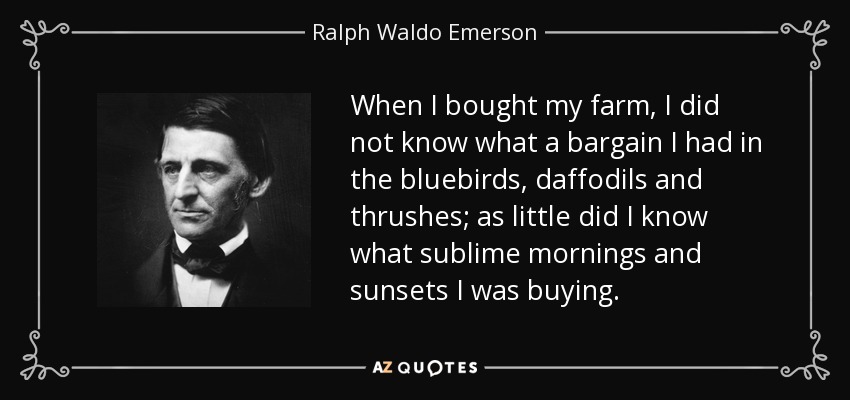 When I bought my farm, I did not know what a bargain I had in the bluebirds, daffodils and thrushes; as little did I know what sublime mornings and sunsets I was buying. - Ralph Waldo Emerson