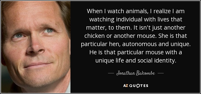 When I watch animals, I realize I am watching individual with lives that matter, to them. It isn't just another chicken or another mouse. She is that particular hen, autonomous and unique. He is that particular mouse with a unique life and social identity. - Jonathan Balcombe
