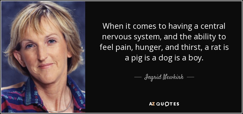 When it comes to having a central nervous system, and the ability to feel pain, hunger, and thirst, a rat is a pig is a dog is a boy. - Ingrid Newkirk