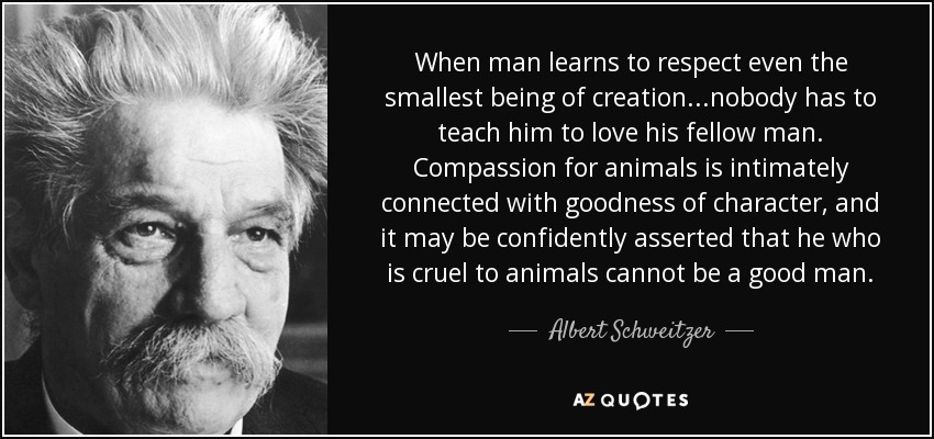 When man learns to respect even the smallest being of creation...nobody has to teach him to love his fellow man. Compassion for animals is intimately connected with goodness of character, and it may be confidently asserted that he who is cruel to animals cannot be a good man. - Albert Schweitzer