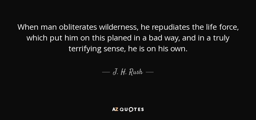 When man obliterates wilderness, he repudiates the life force, which put him on this planed in a bad way, and in a truly terrifying sense, he is on his own. - J. H. Rush