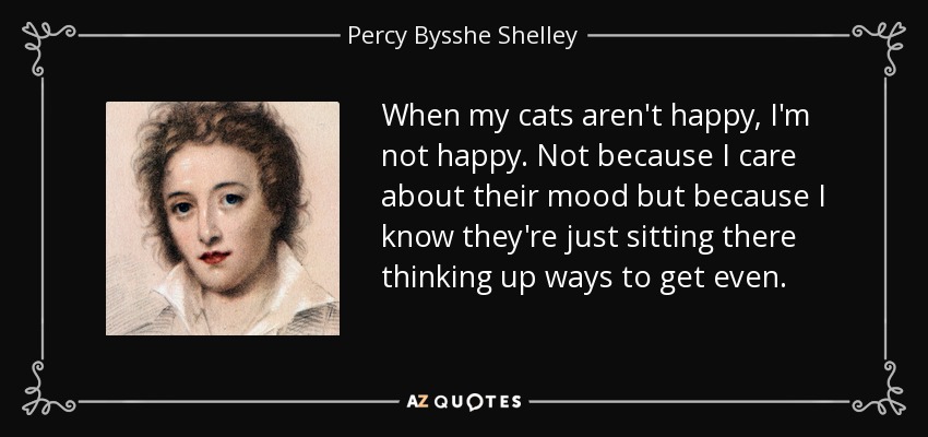 When my cats aren't happy, I'm not happy. Not because I care about their mood but because I know they're just sitting there thinking up ways to get even. - Percy Bysshe Shelley