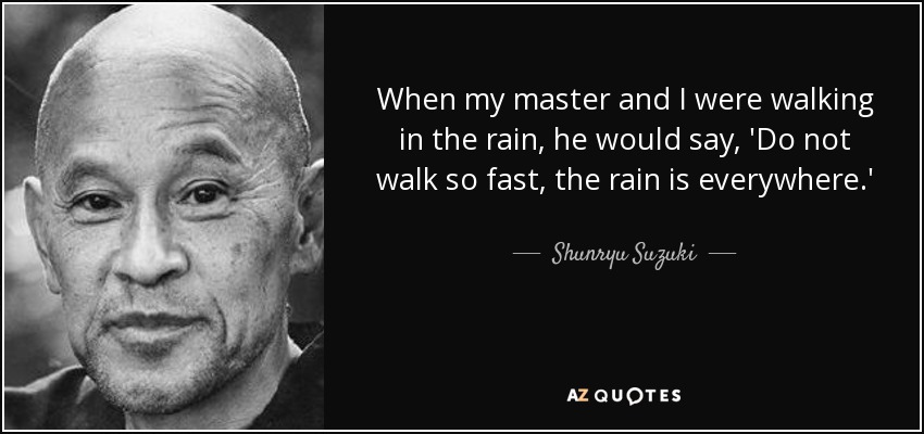 When my master and I were walking in the rain, he would say, 'Do not walk so fast, the rain is everywhere.' - Shunryu Suzuki