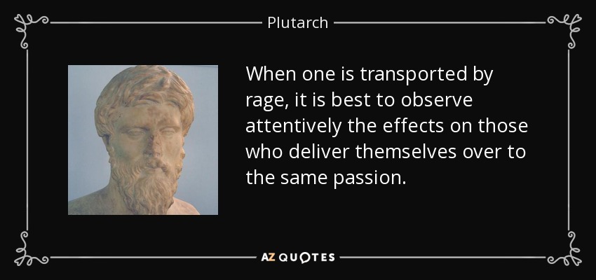 When one is transported by rage, it is best to observe attentively the effects on those who deliver themselves over to the same passion. - Plutarch
