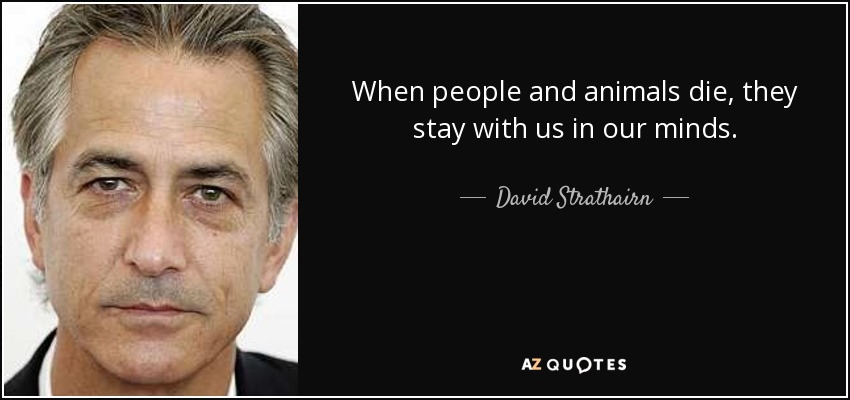 When people and animals die, they stay with us in our minds. - David Strathairn