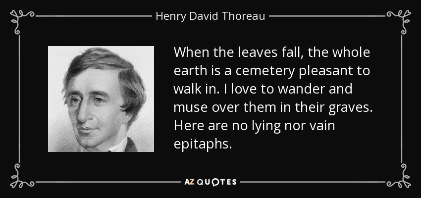 When the leaves fall, the whole earth is a cemetery pleasant to walk in. I love to wander and muse over them in their graves. Here are no lying nor vain epitaphs. - Henry David Thoreau
