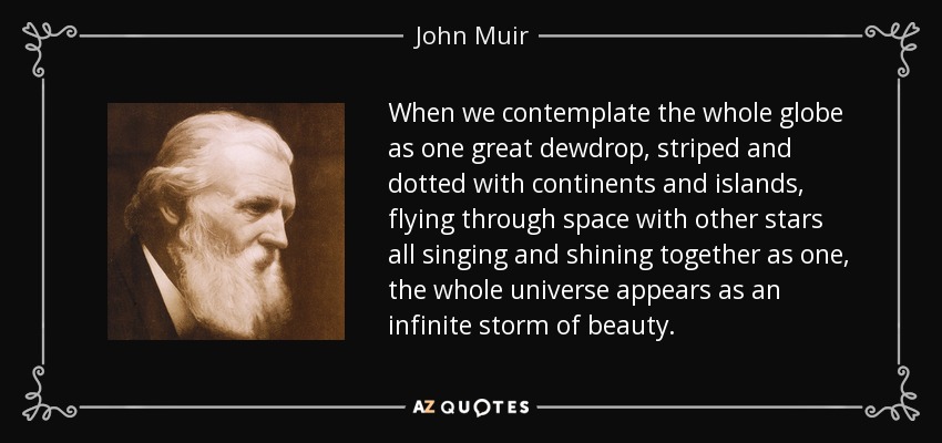 When we contemplate the whole globe as one great dewdrop, striped and dotted with continents and islands, flying through space with other stars all singing and shining together as one, the whole universe appears as an infinite storm of beauty. - John Muir