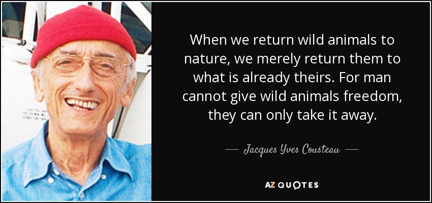 When we return wild animals to nature, we merely return them to what is already theirs. For man cannot give wild animals freedom, they can only take it away. - Jacques Yves Cousteau