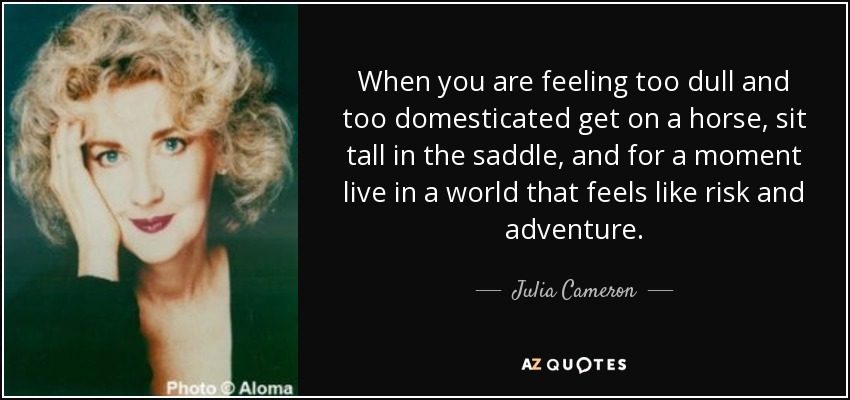 When you are feeling too dull and too domesticated get on a horse, sit tall in the saddle, and for a moment live in a world that feels like risk and adventure. - Julia Cameron