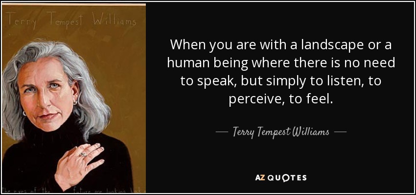 When you are with a landscape or a human being where there is no need to speak, but simply to listen, to perceive, to feel. - Terry Tempest Williams
