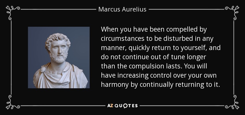 When you have been compelled by circumstances to be disturbed in any manner, quickly return to yourself, and do not continue out of tune longer than the compulsion lasts. You will have increasing control over your own harmony by continually returning to it. - Marcus Aurelius