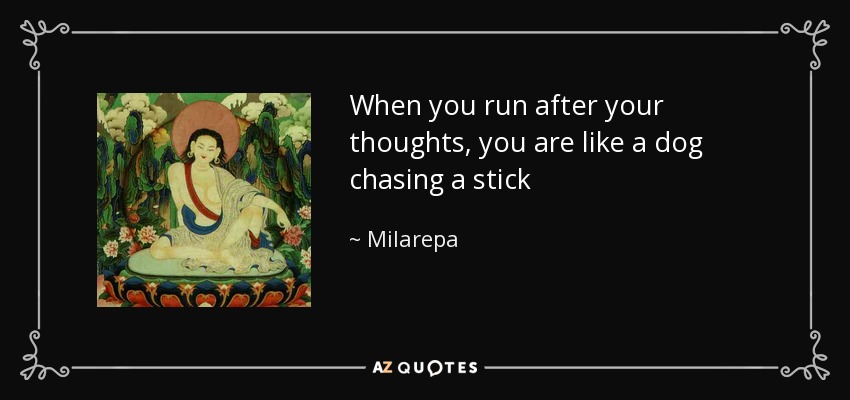 When you run after your thoughts, you are like a dog chasing a stick - Milarepa