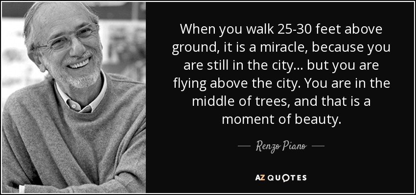 When you walk 25-30 feet above ground, it is a miracle, because you are still in the city ... but you are flying above the city. You are in the middle of trees, and that is a moment of beauty. - Renzo Piano