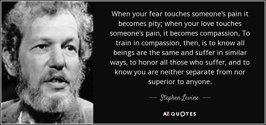 When your fear touches someone's pain it becomes pity; when your love touches someone's pain, it becomes compassion. To train in compassion, then, is to know all beings are the same and suffer in similar ways, to honor all those who suffer, and to know you are neither separate from nor superior to anyone. - Stephen Levine