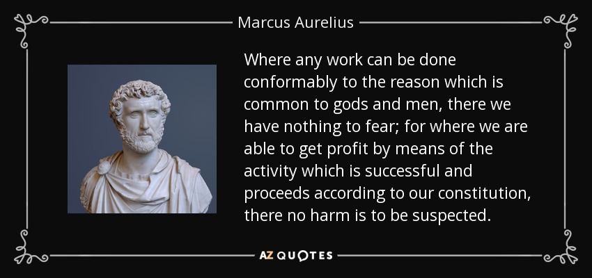 Where any work can be done conformably to the reason which is common to gods and men, there we have nothing to fear; for where we are able to get profit by means of the activity which is successful and proceeds according to our constitution, there no harm is to be suspected. - Marcus Aurelius
